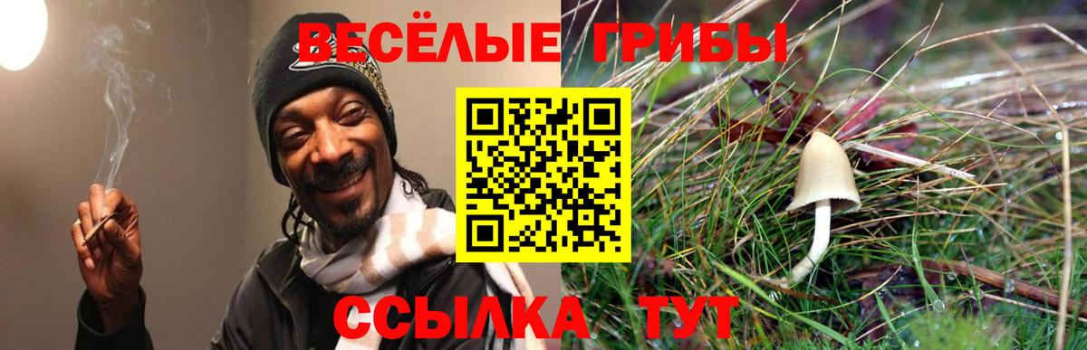Галлюциногенные грибы MAGIC MUSHROOMS  Вход с VPN  Надым 